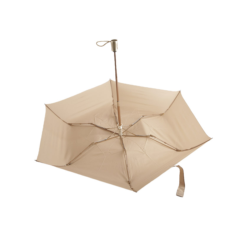 Apricot Atmosphere Pongee Ô gấp 3-0E6B0465