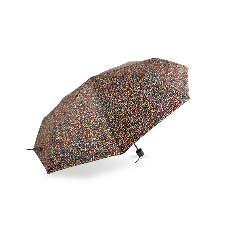 Polyetser có thể mở rộng hàng ngày với ô gấp ba lần tráng bạc-0E6B0523