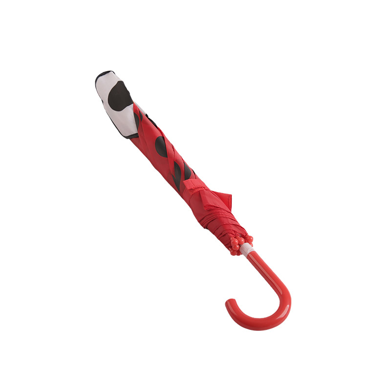 Ô Bọ Rùa Hoạt Hình Trẻ Em-0E6B0662