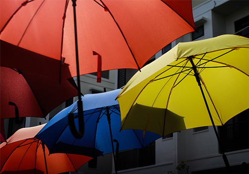 Phân tích hiện trạng phát triển thị trường của ngành ô dù