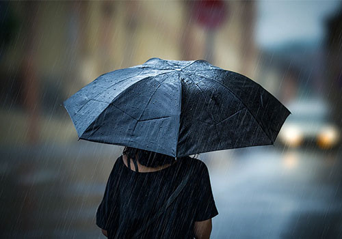 Một đợt bùng phát nhỏ trong ngành ô dù: số lượng đăng ký năm ngoái đã tăng 139%