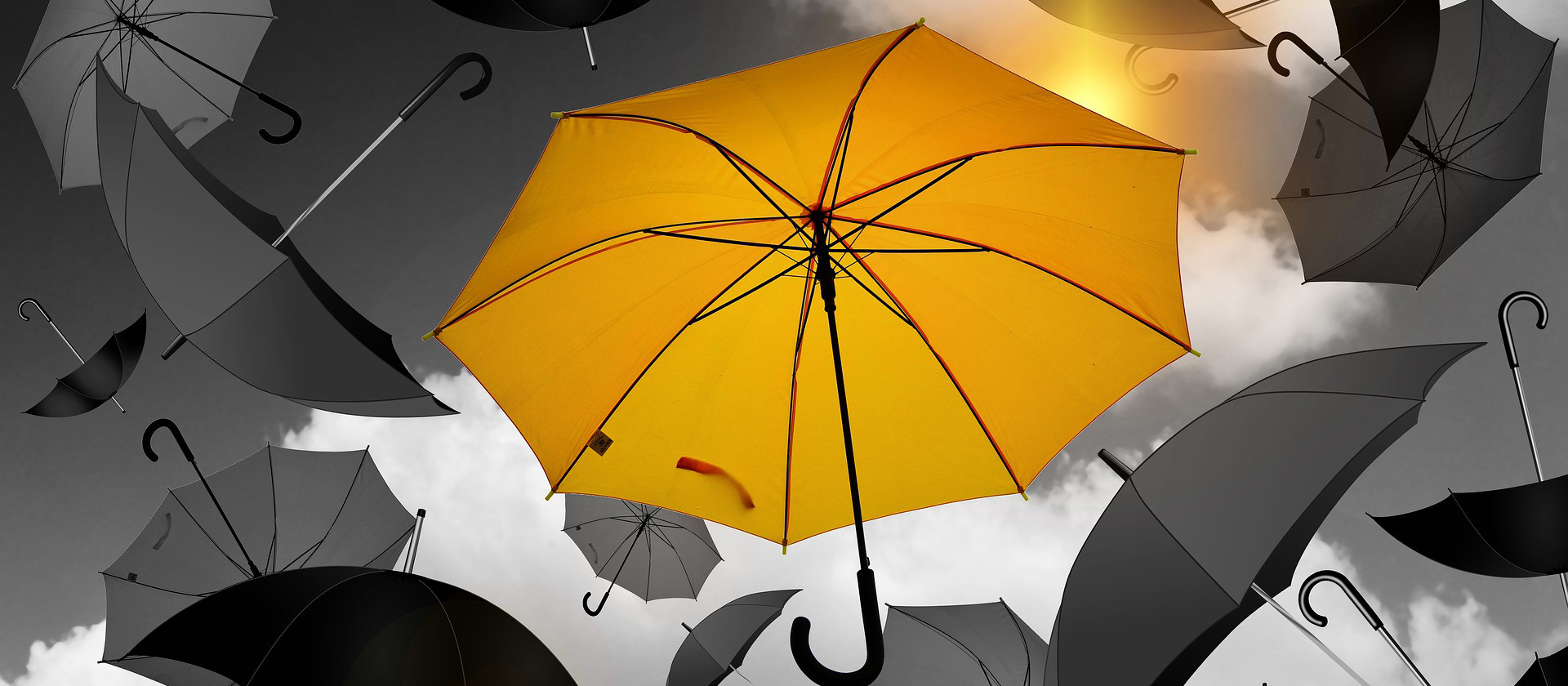 Có bốn vật liệu chính cho các bước ô